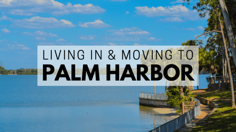 Living in & Moving to Palm Harbor