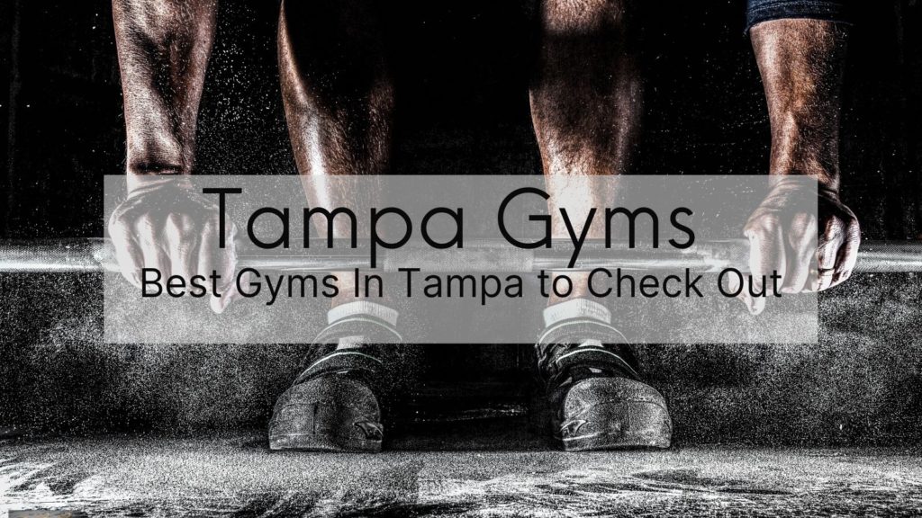 Tampa Gyms [2024 List] | Best Gyms In Tampa To Check Out