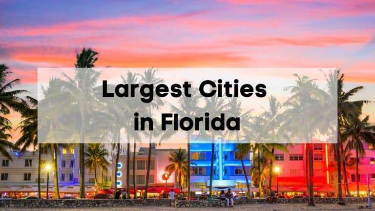 Largest Cities In Florida 2024 Top FL Cities By Population Data   Largest Cities In Florida 768x432 