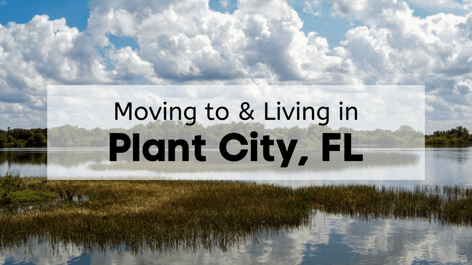 moving to and living in Plant City, FL