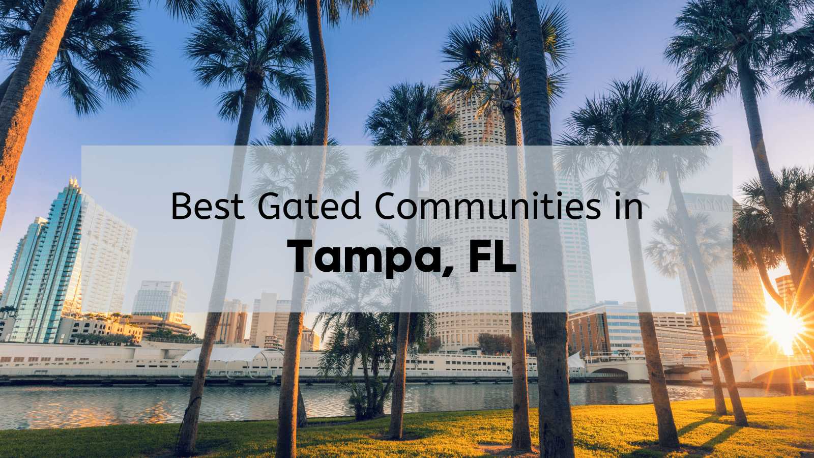 Tampa skyline with palm trees in the foreground