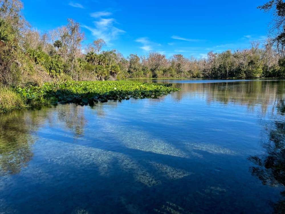 What’s it Like Living in Wekiwa Springs? 🛶 | Moving to Wekiwa Springs ...