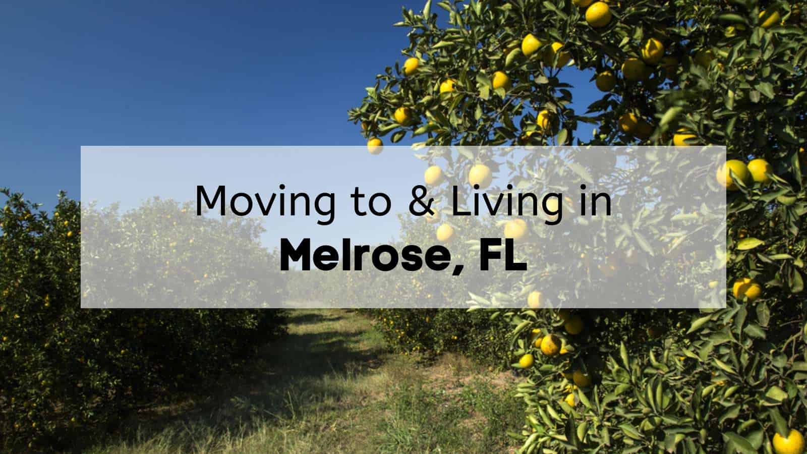 Here’s What You’ll Love About Living in Melrose 🌞 | Complete Moving to ...