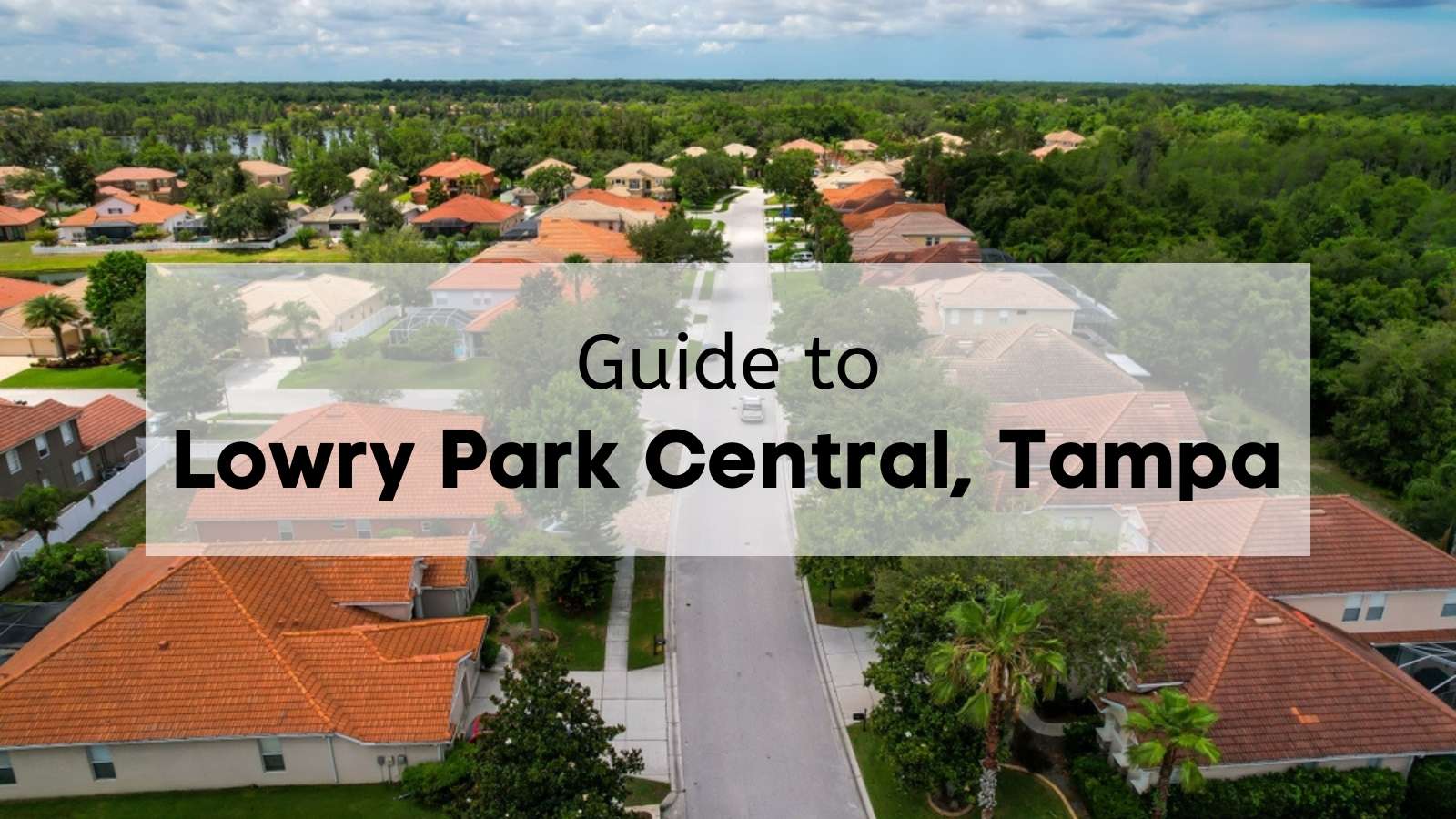 Living in Lowry Park Central - What to Know Before Moving to Lowry Park Central