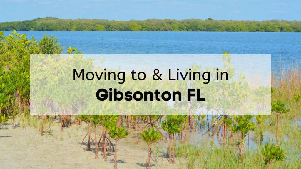 A scenic view of Gilson, FL, showcasing its natural beauty and inviting atmosphere for new residents.