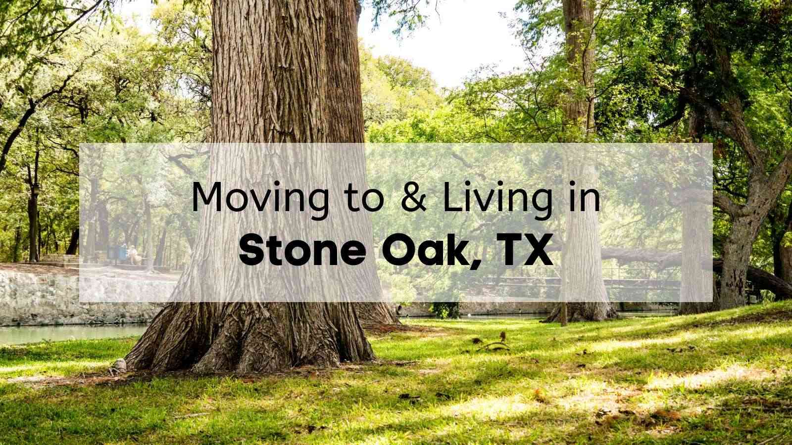Large trees in Stone Oak TX park.